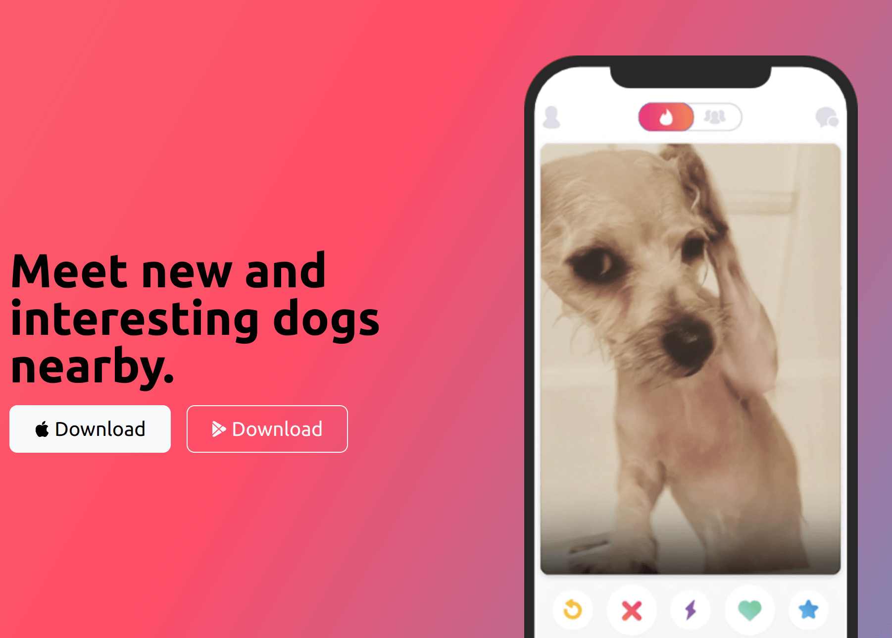 screenshot of a silly dog tinder website